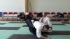 KSK Aikido Course at Pinner Club - May 2011
