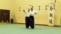 KSK Aikido Course at Aylesbury June 2011 #1