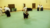 1st Kyu and above - Aikido Day Course at Aylesbury - July 2011