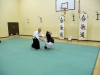 1st Kyu and above - Aikido Day Course at Aylesbury - July 2011