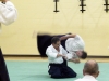 KSK Aikido Course at Aylesbury - September 2011 #2 - Vince Sumpter