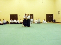KSK Aikido Course at Aylesbury - January 2012 #1 - Andy McLean