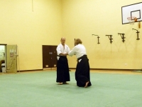 KSK Aikido Course at Aylesbury - March 2012 #2 - Nigel Vaughan