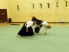 KSK Aikido Course at Aylesbury - March 2012 #2 - Nigel Vaughan
