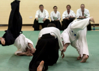KSK Senior Gradings at Meadowcroft, Aylesbury - April 2012 #2