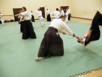 KSK Aikido Course at Aylesbury - March 15th 2015 #2