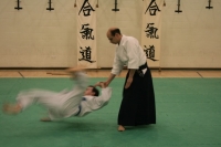 KSK Aikido Course at Aylesbury June 2008