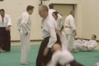 KSK Aikido Course at Aylesbury March 2009