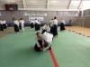 BAB National Aikido Course 12th September 2009
