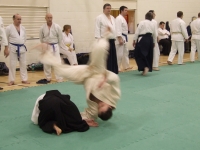 KSK Aikido Course at Aylesbury December 2009