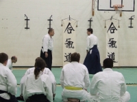 KSK Aikido Course at Aylesbury January 2010