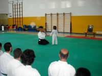 KSK Aikido Course in Aosta, Italy May 2010