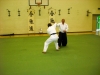 KSK Aikido Course at Aylesbury June 2010