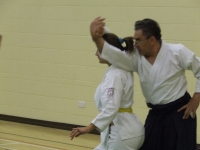 KSK Aikido Course at Aylesbury September 2010