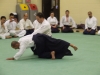 KSK Aikido Course at Aylesbury September 2010