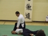 KSK Aikido Course at Aylesbury September 2010