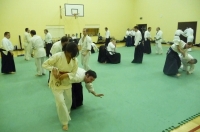 KSK Aikido Course at Aylesbury November 2010