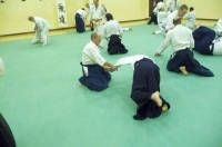 KSK Aikido Course at Aylesbury January 2011