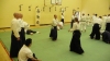 KSK Aikido Course at Aylesbury March 2011