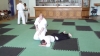 KSK Aikido Course at Pinner Club - May 2011