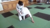 KSK Aikido Course at Pinner Club - May 2011