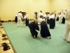 KSK Aikido Course at Aylesbury - November 2011 #2 - Midori