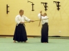 KSK Aikido Course at Aylesbury - November 2011 #2 - Midori