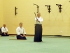 KSK Aikido Course at Aylesbury - November 2011 #2 - Midori