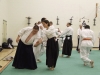 KSK Aikido Course at Aylesbury Dec 2008