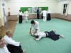 Harrow Dojo Gallery