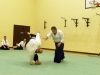 KSK Aikido Course at Aylesbury - January 2012 #2 - Vince Sumpter