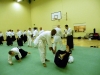 KSK Aikido Course at Aylesbury - July 2012 #1