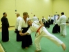 KSK Aikido Course at Aylesbury - July 2012 #1