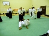 KSK Aikido Course at Aylesbury - July 2012 #1