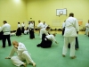 KSK Aikido Course at Aylesbury - July 2012 #1