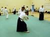 KSK Aikido Course at Aylesbury - July 2012 #2