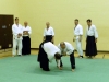 KSK Aikido Course at Aylesbury - July 2012 #2