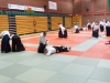 BAB National Aikido Course September 2012