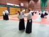 BAB National Aikido Course September 2012