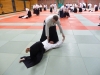 BAB National Aikido Course September 2012