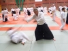 BAB National Aikido Course September 2012