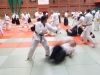 BAB National Aikido Course September 2012