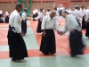 BAB National Aikido Course September 2012
