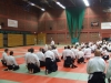 BAB National Aikido Course September 2012