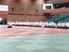 BAB National Aikido Course September 2012