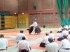 BAB National Aikido Course September 2012