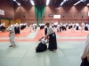 BAB National Aikido Course September 2012