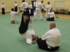 Kai Shin Kai Aikido Course - November 3rd 2012 #1