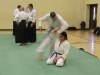 Kai Shin Kai Aikido Course - November 3rd 2012 #1