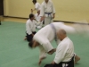 Kai Shin Kai Aikido Course - November 3rd 2012 #1